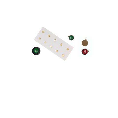 Body Magnetic Points