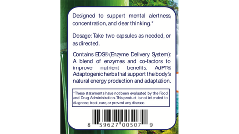 Brain Plus