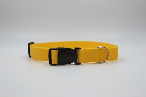 Magnetic Dog Collar Yellow