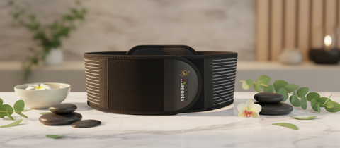 Magnetic Back Belt Email Image