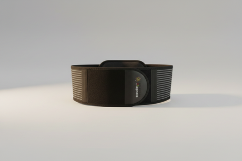Magnetic Back Belt Email Image