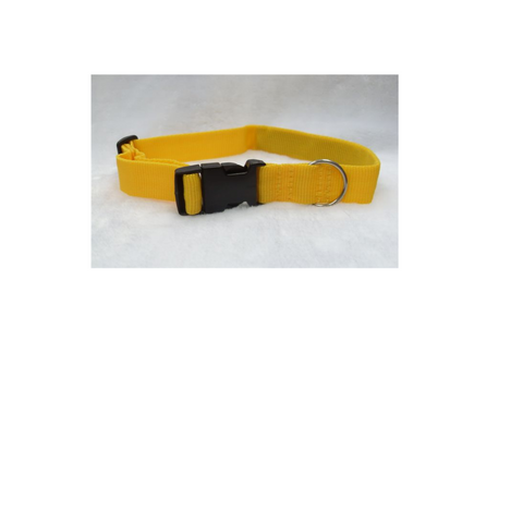 Pet Products