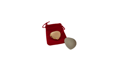 Dr. Sierra’s Magnetic Heart
