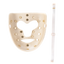 Magnetic Face Mask
