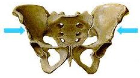 Corfit Sacroiliac Belt