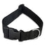 Magnetic Dog Collar Yellow
