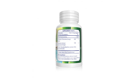 Turmeric Curcuma Longa