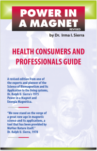 Power in a Magnet Ebook