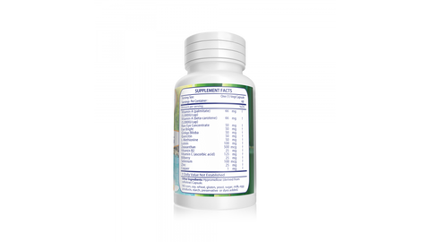Vision Plus