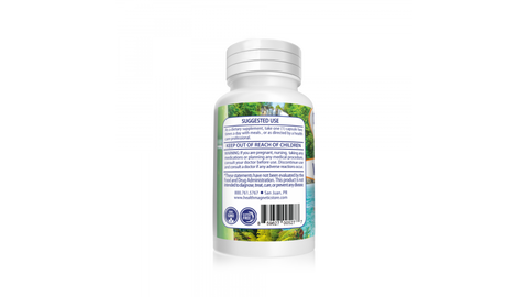Vision Plus