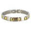 Silver Gold Link