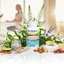 Menopause Comfort with ingredients and confident women's lifestyle