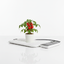 PEMF Pulse Pad with Tomato Plant
