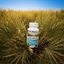 Saw Palmetto Product with Plants