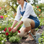 Woman gardening with knee supports